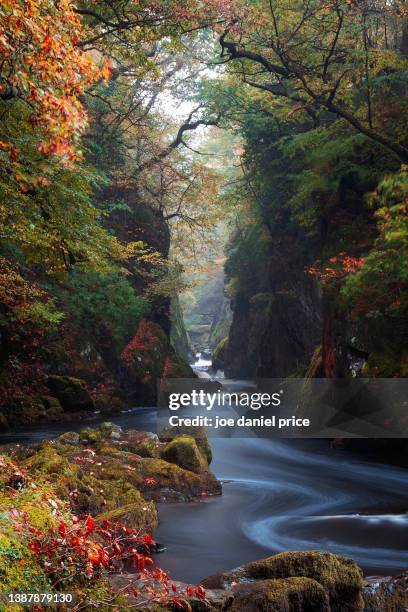 fairy glen, betws-y-coed, snowdonia, wales - river rock stock pictures, royalty-free photos & images