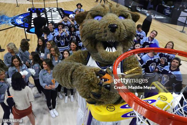 The Villanova Wildcats mascot cuts down the net after the Villanova Wildcats defeated the Houston Cougars 50-44 in the NCAA Men's Basketball...