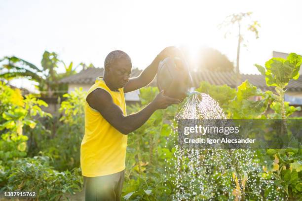 man watering his organic vegetable garden - people recycling stock pictures, royalty-free photos & images