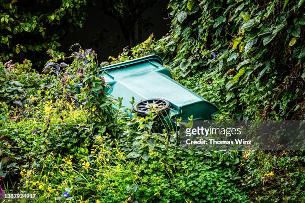 green recycling bin in a front yard - overgrown stock pictures, royalty-free photos & images