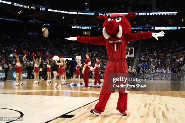 The Arkansas Razorbacks mascot performs with the cheerleaders during a timeout during the second half against the Duke Blue Devils in the NCAA Men's...