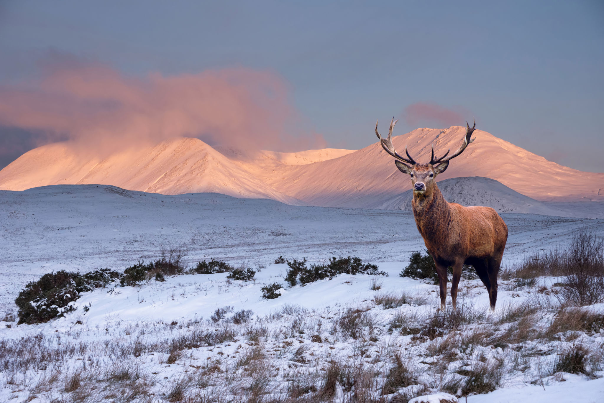 scottish highlands winter