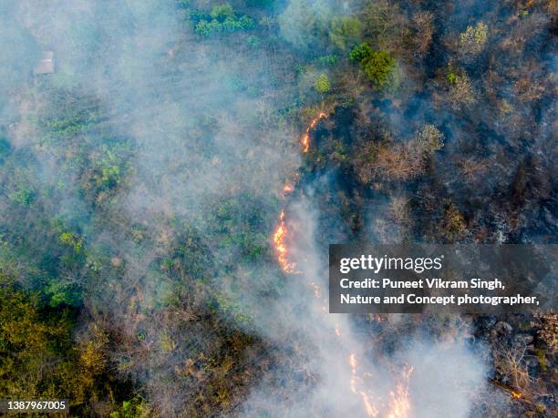 manmade fire in the rural areas of maharashtra - incendio forestal fotografías e imágenes de stock