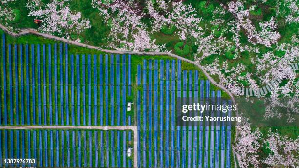 aerial top view of solar panel station and cherry blossom sakura flower - pudong foto e immagini stock