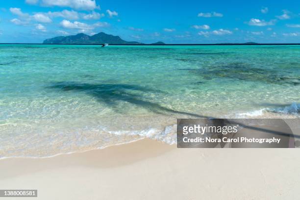 white sand beach with coconut tree shadow tropical background - white bay stock pictures, royalty-free photos & images