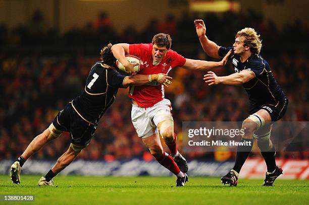 Rhys Priestland of Wales holds off the challenge of Ross Rennie and Richie Gray of Scotland during the RBS Six Nations match between Wales and...