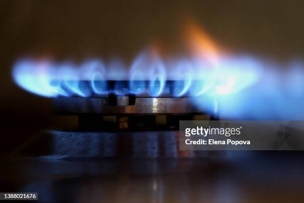 blue flame of gas stove burner - gas cooking stock pictures, royalty-free photos & images
