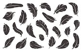 Feather icons. Black plumage silhouettes. Different shapes birdy elements. Smooth and fluffy feathering. Softly and bend lightweight plume. Writing pen. Simple style. Vector quills set