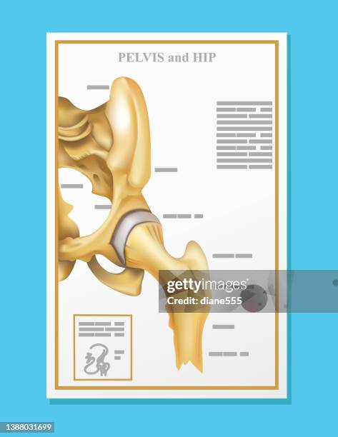 doctor's office hip skeleton poster - femur stock illustrations