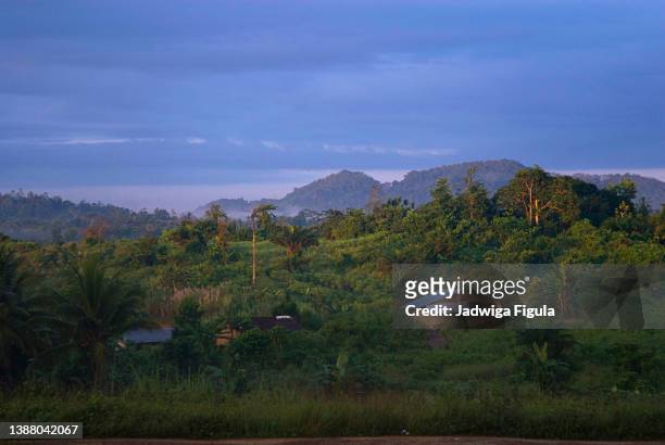the early morning sun shines on the green hill in liberia. - liberia ストックフォトと画像