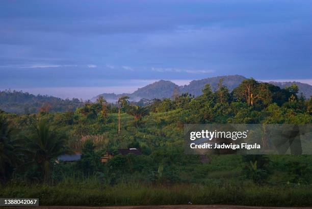 the early morning sun shines on the green hill in liberia. - liberia stock pictures, royalty-free photos & images