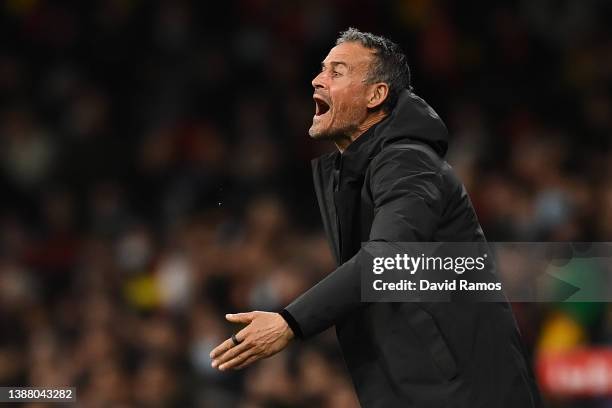 Head coach Luis Enrique of Spain directs his player during the international friendly match between Spain and Albania at RCDE Stadium on March 26,...