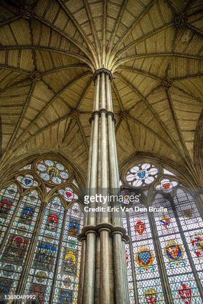 westminster column and ceiling - eric van den brulle stock pictures, royalty-free photos & images
