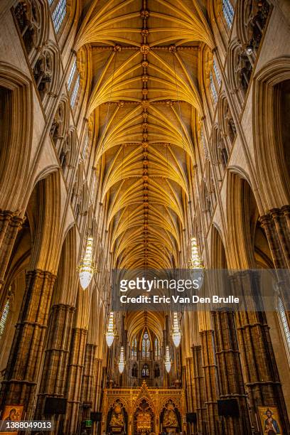 westminster abbey vault in golden light - eric van den brulle stock pictures, royalty-free photos & images