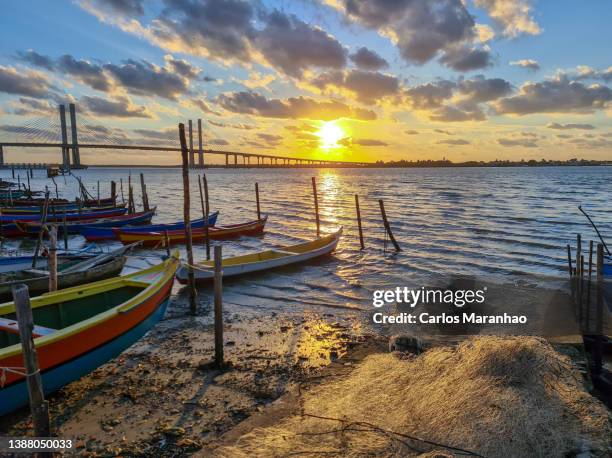 boats watching the sunrise. - brasil sergipe aracaju foto e immagini stock