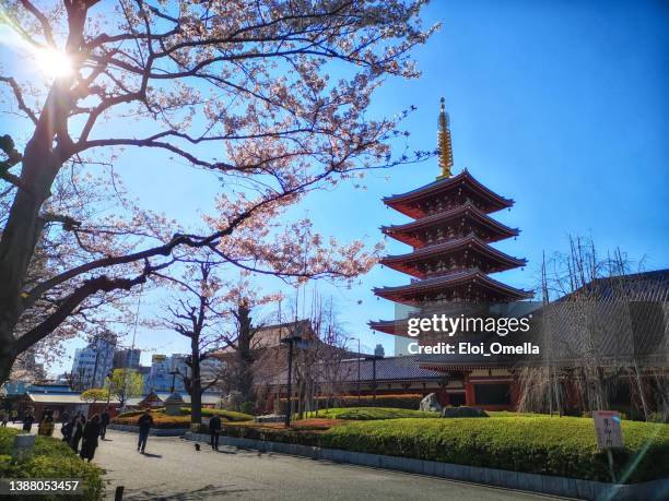 templo de sensoji-ji em asakusa, tóquio, japão - lugar histórico - fotografias e filmes do acervo