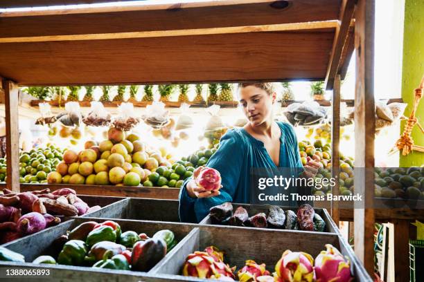 medium shot of woman picking out fruit while shopping at local market while on vacation - mercado de productos de granja fotografías e imágenes de stock