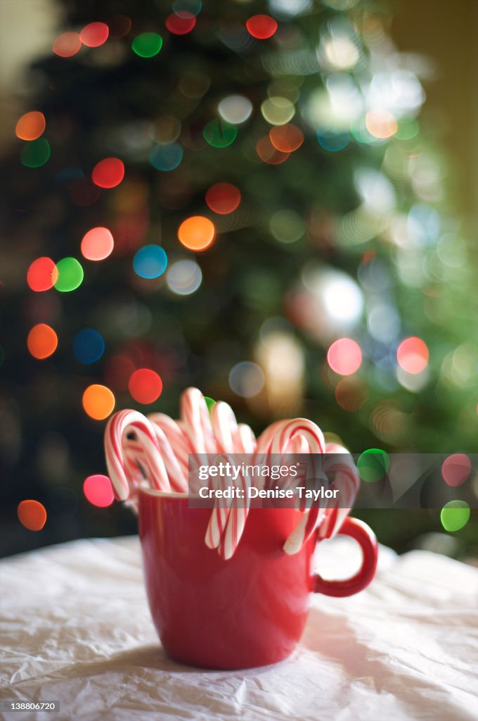 Cup of Christmas cheer