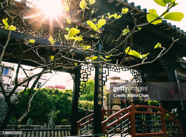 asian woman playing shakuhachi flute in a traditional chinese garden - music halls foto e immagini stock