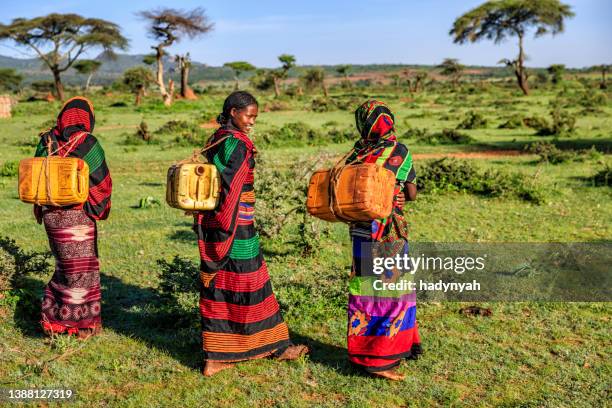 jeune femme africaine portant eau du bien, l'éthiopie, afrique - east africa photos et images de collection