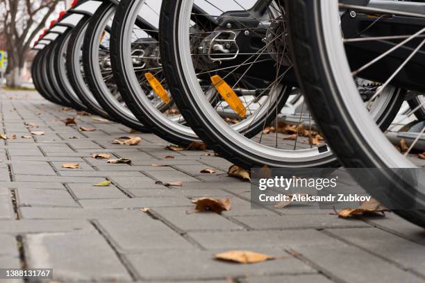 rows of bicycles for rent to get around the city. bicycle transport parking. the concept of entertainment, physical exercises and loads. environmental protection, sustainable lifestyle. environmentally friendly transport - the fall band stockfoto's en -beelden