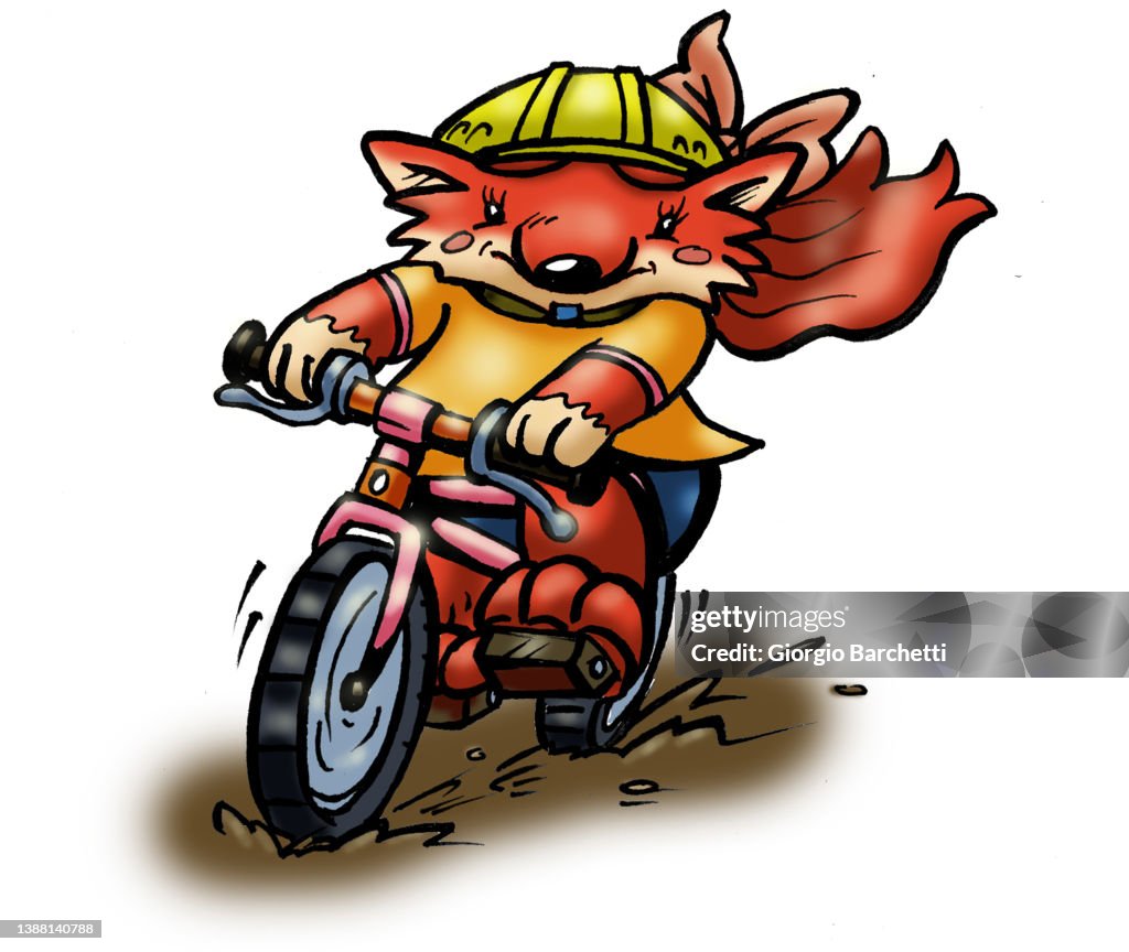 Fox riding the bicycle