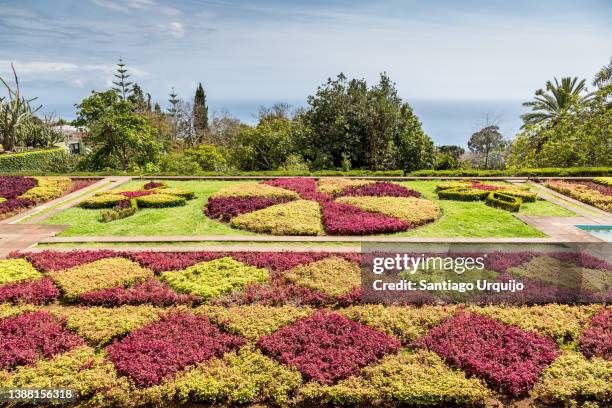 floral beds in botanical garden of funchal - madeira flowers stock-fotos und bilder