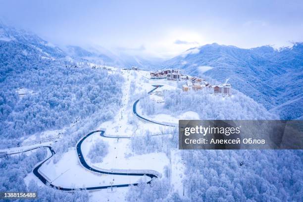 winter landscape with a road to the mountains against the backdrop of forests. - österreich winter bildbanksfoton och bilder