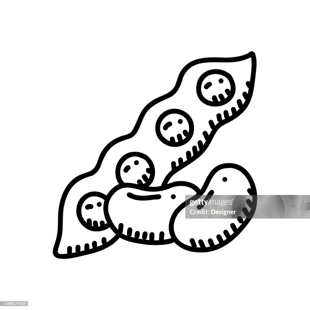 Soybean Hand Drawn Icon, Doodle Style Vector Illustration