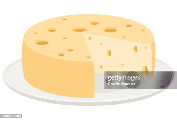ilustrações, clipart, desenhos animados e ícones de queijo delicioso - parmesan cheese