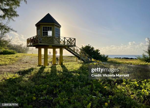 lifeguard hut at sunrise - barbados stock-fotos und bilder