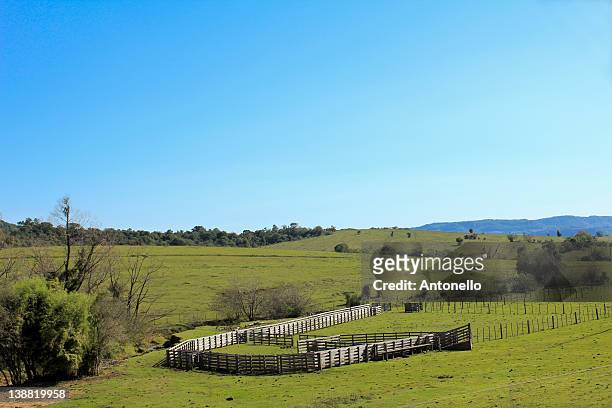 cattle corral - santa maria - rio grande do sul stock pictures, royalty-free photos & images