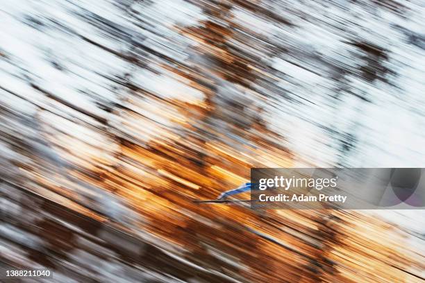 Daniel Andre Tande of Norway glides through the forest during training before qualification at the Four Hills Tournament 2020 Bischofshofen, Austria...