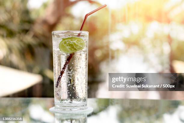 glass of fresh sparkling mineral water and a lime,thailand - lemon soda fotografías e imágenes de stock