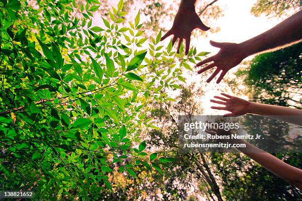 mãos in natura - mãos stockfoto's en -beelden