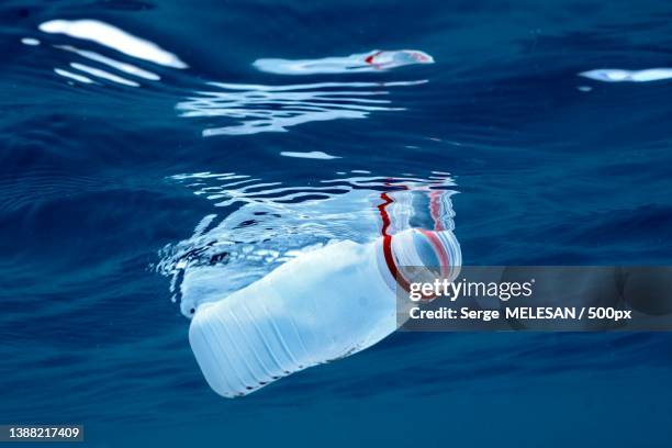 plastic planet,high angle view of dolphins swimming in sea,mayotte - environmental damage stockfoto's en -beelden