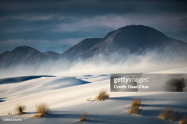 windy evening in the new mexico sand dunes - nationalmonument white sands stock-fotos und bilder