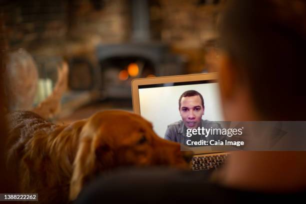 man with dog video chatting with colleague on laptop screen - dog looking over shoulder stock pictures, royalty-free photos & images