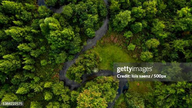aerial view of a green forest with running river,clarklake,michigan,united states,usa - región central de eeuu fotografías e imágenes de stock