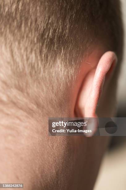 back of male head, ear and neck - hairs on back of neck stock pictures, royalty-free photos & images