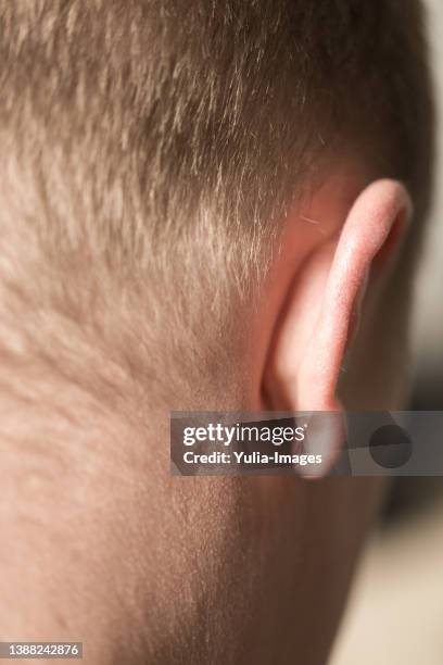 back of male head, ear and neck - human ear close up stock pictures, royalty-free photos & images