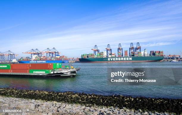 The Container ship Ever Greet from the Taiwanese container transportation and shipping company Evergreen Marine Corporation, under Panama Flag is...