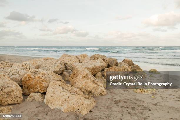rivage vide de rocky beach à palm beach, floride - littoral rocheux photos et images de collection