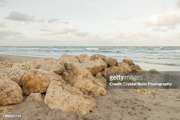empty rocky beach shoreline in palm beach, florida - rocky coastline stock pictures, royalty-free photos & images
