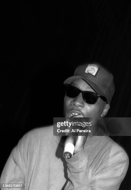 Rapper Del tha Funkee Homosapien performs in concert at The Apollo Theater on February 22, 1992 in New York City.