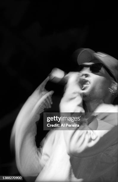 Rapper Del tha Funkee Homosapien performs in concert at The Apollo Theater on February 22, 1992 in New York City.