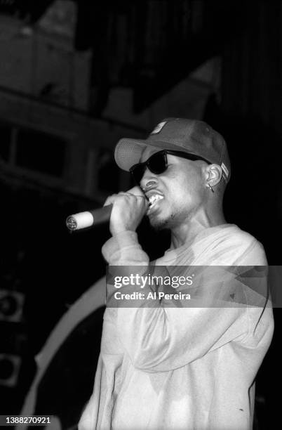 Rapper Del tha Funkee Homosapien performs in concert at The Apollo Theater on February 22, 1992 in New York City.