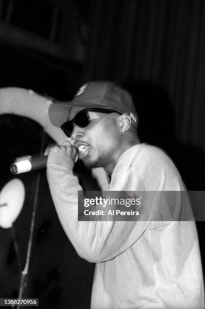 Rapper Del tha Funkee Homosapien performs in concert at The Apollo Theater on February 22, 1992 in New York City.