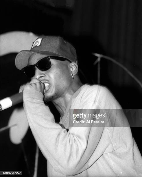 Rapper Del tha Funkee Homosapien performs in concert at The Apollo Theater on February 22, 1992 in New York City.