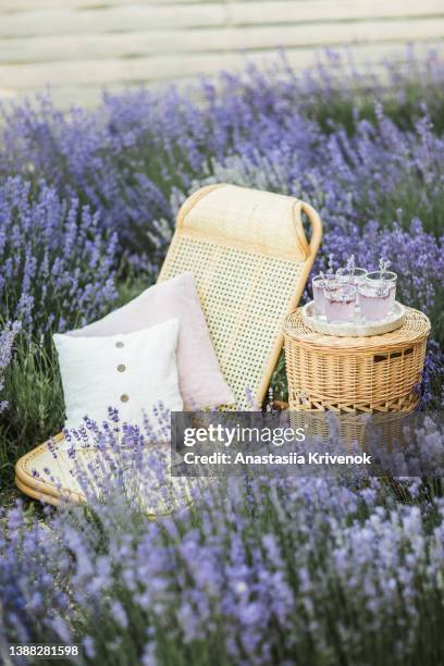 rattan deck chair and wicker basket with violet lavender cocktail decorated with flowers on lavender field. - zitronen feld stock-fotos und bilder
